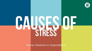 Causes of Stress [upl. by Streeter]