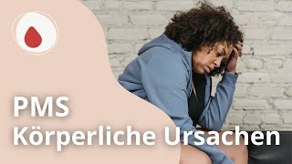 Körperliche Ursachen von PMS  Woher kommt es wirklich  Fraulichkeit mit Anne Lippold [upl. by Verdha]