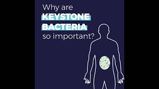 Discover the power of keystone singlestrain bacteria [upl. by Voe]