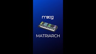 Explore the Moog Matriarchs Sound Magic 🎹✨ [upl. by Nakhsa434]