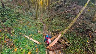 Wolfsschlucht Sonnenberg [upl. by Suivatnad]