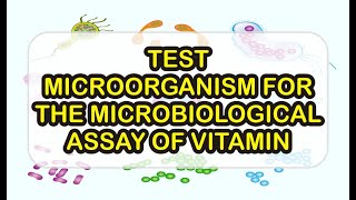 DIGESTER13  TEST MICROORGANISM FOR THE MICROBIOLOGICAL ASSAY OF VITAMIN  MICROBIOLOGY  GPAT [upl. by Bishop103]