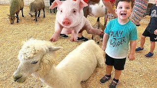 Kids Family Fun Trip to Petting Zoo with Farm Animals with Caleb Kids Show [upl. by Ardnaeel]