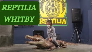 reptilia zoo whitby in 2022  reptilia toronto [upl. by Lubbock384]