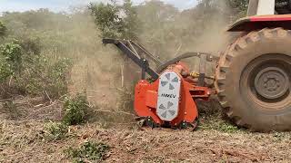 Triturador florestal HP270 acoplado em um Massey Ferguson 640 serviço bruto na capoeira 🦾🚜🌱 [upl. by Conlan]