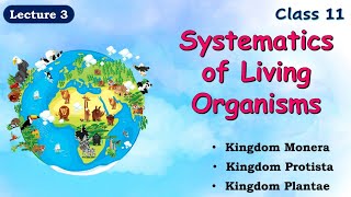 SYSTEMATICS OF LIVING ORGANISMS  Lecture 3  Class 11th  Maharashtra board  SC Biology [upl. by Noelyn]