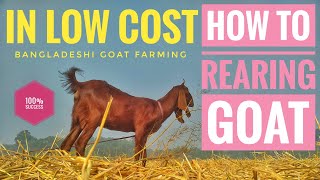 How To Rear Some Goats In Low Cost [upl. by Nanerb]