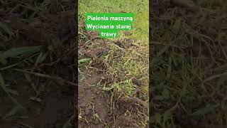 Pomóc w ogarnięciu działki 🌲 Wejma machinegrass garden satisfying work gardening [upl. by Namyac902]