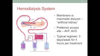 MNT CKD Part 2 Diagnosis and Medical Treatment [upl. by Odlavu]