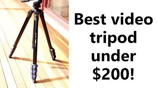 ProMaster FW29T Review  Best budget DSLRvideo tripod for under 200 [upl. by Oiziruam]