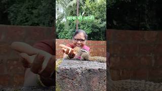 खारूची आठवण काढणारी प्रेमळ आजीSquirrelStampedeshorts [upl. by Tound168]