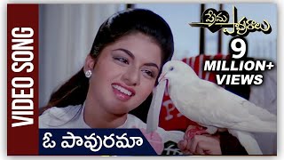 Oh Paavurama Video Song  Maine Pyar Kiya  ప్రేమ పావురాలు Movie  Salman Khan  Bhagyashree [upl. by Fihsak768]