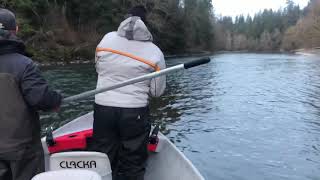 Steelhead fishing the Bogachiel river [upl. by Ahsad87]