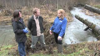 Flexible channel design for stream restoration and habitat improvement [upl. by Anoi639]