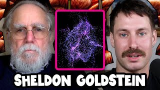 What are the Criticisms of Bohmian Mechanics  Sheldon Goldstein [upl. by Val]