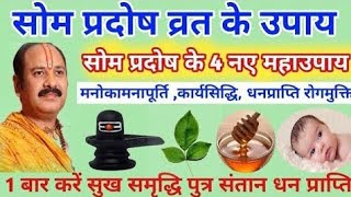 सोम प्रदोष व्रत के महाउपाय 1 बार करें सुख समृद्धि पुत्र संतान रोग मुक्ति धन की प्राप्ति।som pradosh [upl. by Akinaj949]