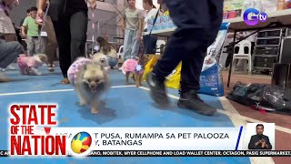 Mga asot pusa rumampa sa pet palooza ng Lemery Batangas  SONA [upl. by Nelrac]