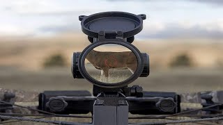 Top 6 Best Crossbow Scopes in 2023 [upl. by Kcirederf155]