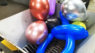 Shredding Balloons Filled with Helium  Cool experiment  Crazy Shredder VS Balloons [upl. by Hamachi451]