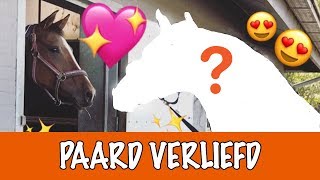 OP WIE IS EVE VERLIEFD  PaardenpraatTV [upl. by Beasley580]