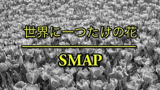 世界に一つだけの花（世界唯一的花） Smap｜「僕の生きる道（我的生存之道）」主題歌（フル） 歌詞付き [upl. by Frederica702]