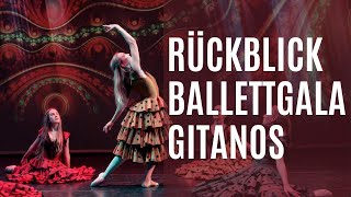 Rückblick Ballettgala 2022 Tanz der Gitanos  Dr Hochs Konservatorium [upl. by Ytirev]