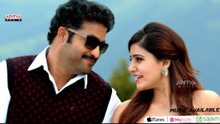 Rabhasa Theatrical Trailer  Jr NTR Samantha Pranitha Subhash Brahmanandam [upl. by Admama]