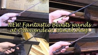 Fantastic Beasts wands at Ollivanders Wand Shop Universal Studios Hollywood [upl. by Ebonee]