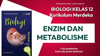 Enzim dan Metabolisme BIOLOGI KELAS 12 kurikulum merdeka [upl. by Sidonius]