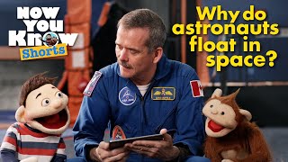 🚀Why do Astronauts Float in Space🧑‍🚀  Now You Know  Learning for Kids 🧑🏻🐵 [upl. by Ayerhs132]