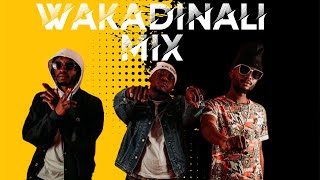 BEST OF WAKADINALI VIDEO MIX 2024 BY DJ CIFIC FT HIZI STANCESIKUTAMBUITOP SCORERMCMCAdrill [upl. by Dimmick]