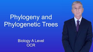 A Level Biology Revision quotPhylogeny and Phylogenetic Treesquot [upl. by Zerat]