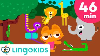 WILD ANIMAL SONGS FOR KIDS 🐘🐒🦒  More Adventure Songs  Lingokids [upl. by Magdala6]