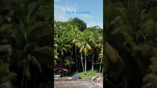 Tour Bioluminiscencia Camping en Isla Cedros costarica playa bioluminescence camping [upl. by Runstadler346]