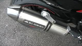 BMW C650 Sport MALOSSI EXHAUST [upl. by Novrej396]