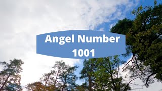 1001 Angel Number  Angel Number 1001 Meaning [upl. by Eveline]