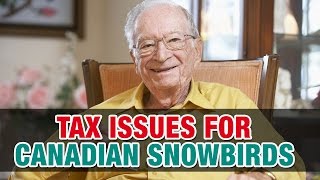 Tax Consequences for Canadian Snowbirds Who Travel to the US  Tax Tip Weekly [upl. by Abana]