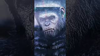 Caesar Vs Koba  PLANET OF THE APES  Edit [upl. by Nylinnej964]