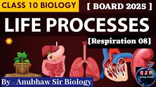 Breathing and Respiration ll Human Respiratory System ll Life Processes ll class10th biology [upl. by Adnavoj]