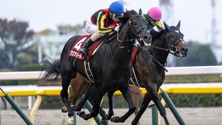 CROIX DU NORD wins the G2 Tokyo Sports Hai Nisai Stakes [upl. by Lovett36]