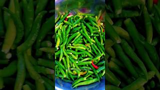 green chilli हरीमिर्च स्टोर कैसे करेytshorts shorts greenchili [upl. by Ilyssa]