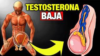 15 Indicadores Críticos de Testosterona Baja en Hombres PELIGRO [upl. by Mairhpe]