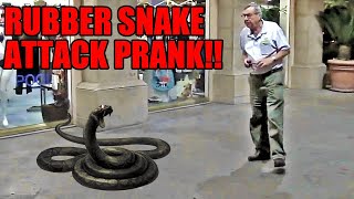 Best Rubber Snake Attack Pranks [upl. by Leotie406]