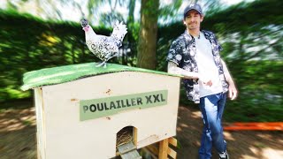 JE FAIS UN NOUVEAU POULAILLER DIY  feat Monique la poule [upl. by Mcroberts]