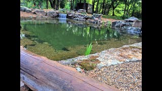 The Coolest SWIM POND we have Built Crystal Clear Water with Low Maintenance [upl. by Hanzelin]