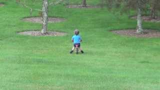 Father of the Year  Boy on bike crashes into tree HILARIOUS [upl. by Narcho]