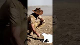 COWBOY WESTERN Legend cowboy is feeding a cat [upl. by Buchbinder]