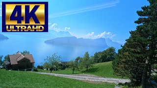 Luzern Switzerland RigiKulm 4K 아름다운 마을 룽게른 환상의루체른호 리기산 리기쿨름 Rigi Vitznau WeggisSwiss [upl. by Benkley]