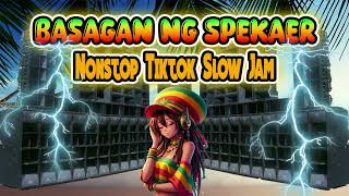 Nonstop Basagan Ng Speaker Tiktok Reggae Mix Slow Jam Beat [upl. by Donohue]