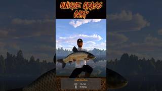 Fishing Planet UNIQUE GRASS CARP Weeping Willows fishing carphunter carpfishing [upl. by Llacam701]